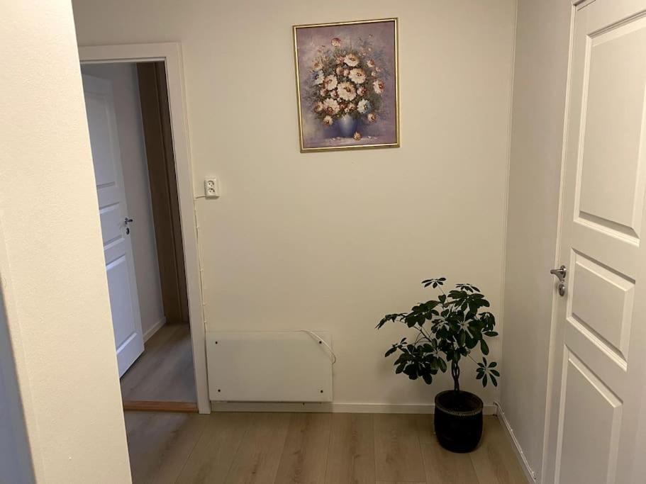 Lovely 2 Bedroom Apartmen With Free Parking 베르겐 외부 사진